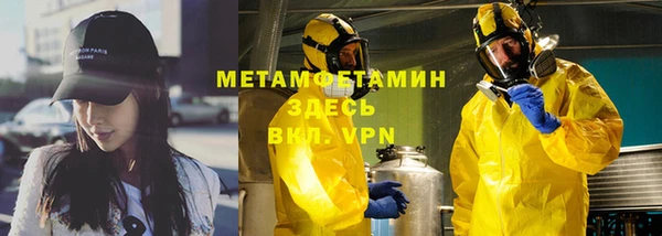 индика Костерёво