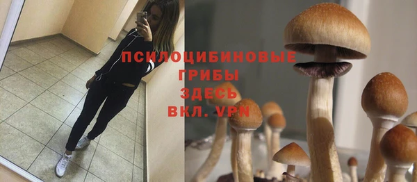 индика Костерёво
