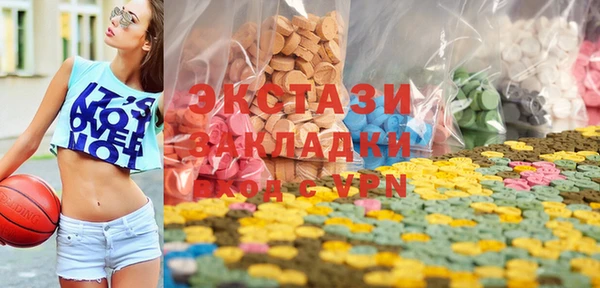индика Костерёво