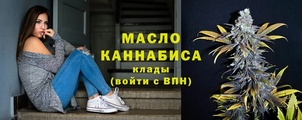 индика Костерёво