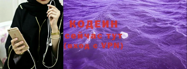 индика Костерёво