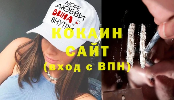 индика Костерёво