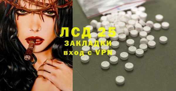 индика Костерёво