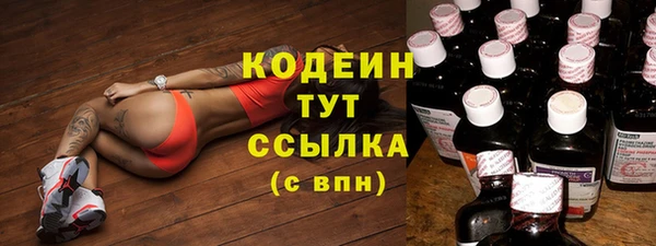 индика Костерёво