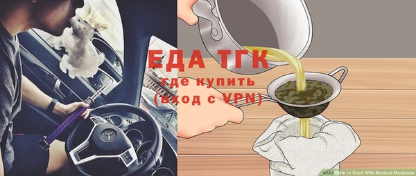 индика Костерёво